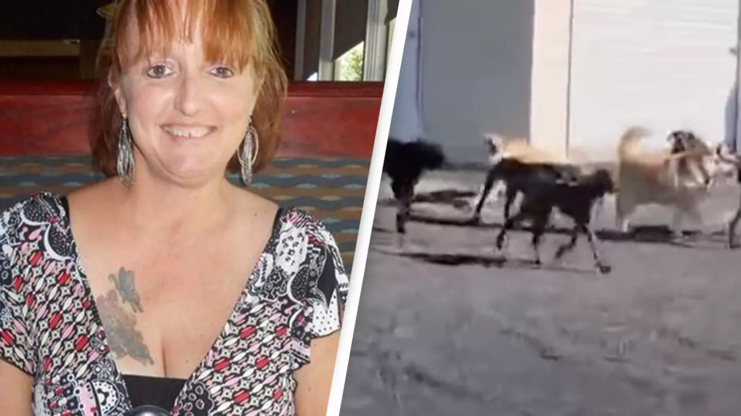 GoFundMe/KCRA 3/YouTube