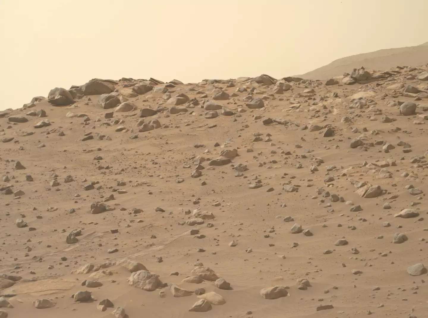 NASA recently acquired this photo of Mars from its Perseverance rover.