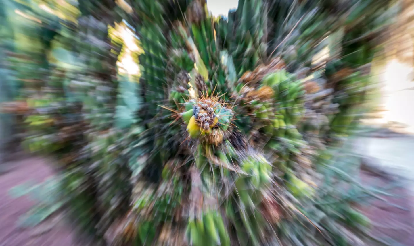 The woman felt 'pleasantly high' for 12 hours after frequent vomiting.