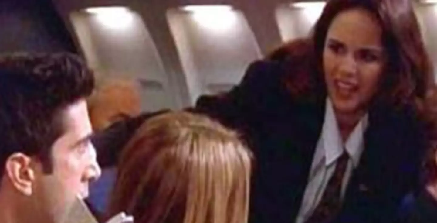 Lisa Cash ended up playing a flight attendant.