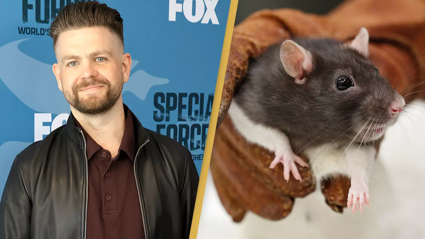 Jack Osbourne recalls time his body 'shut down' from bacterial disease after stepping in rat urine