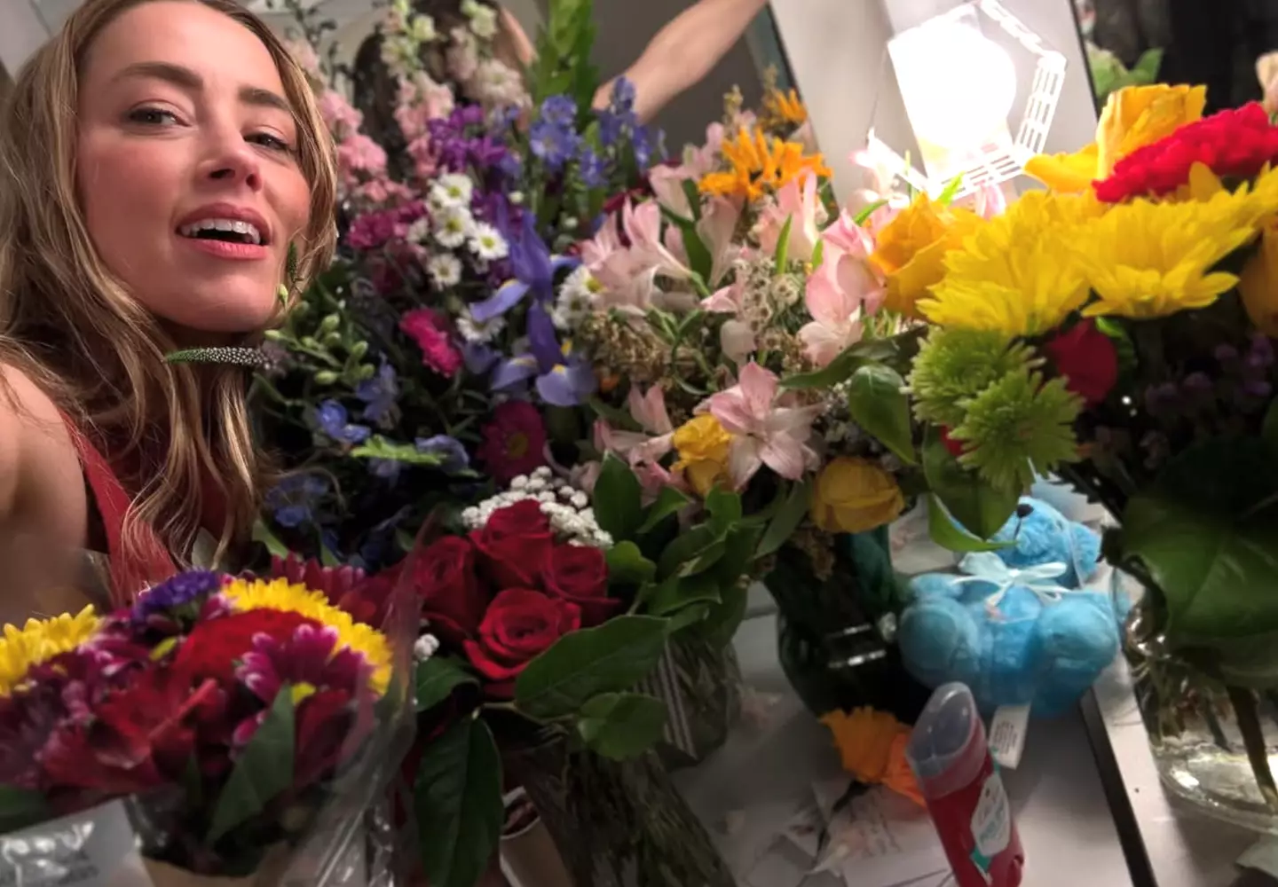 Heard thanked her fans for their support (amberheard/Instagram)