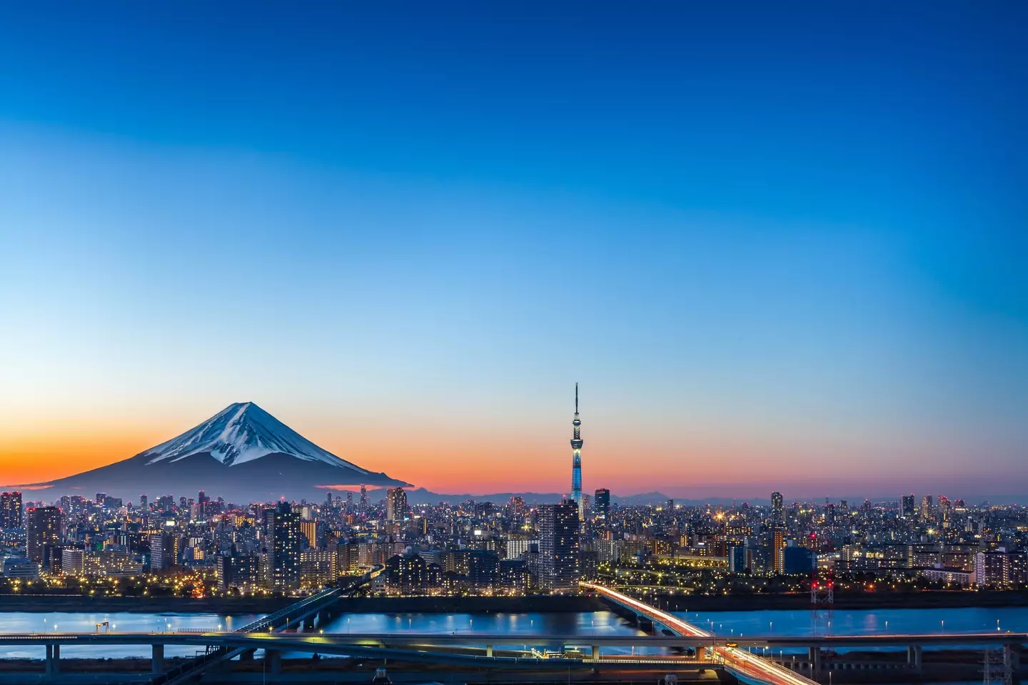 Tokyo's SkyTree is 634 meters tall (Photography by ZhangXun/Getty Images)