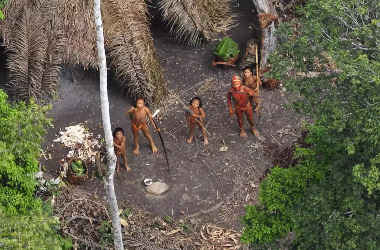 Meirelles also noted how the uncontacted tribes of the region were in danger from illegal loggers in Peru.