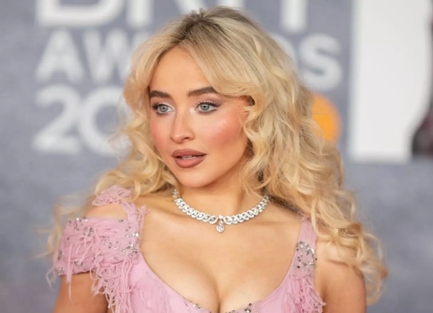 Sabrina hasn't let the critics stop her from doing the move (Samir Hussein/WireImage)