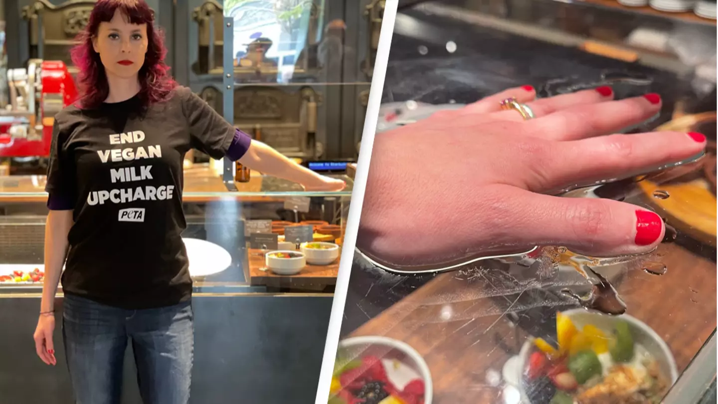 PETA Activists Superglue Themselves To Starbucks Counter