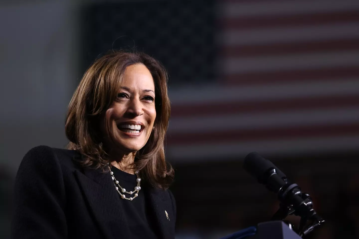 Kamala Harris took over in the race from Joe Biden (Michael M. Santiago/Getty Images)