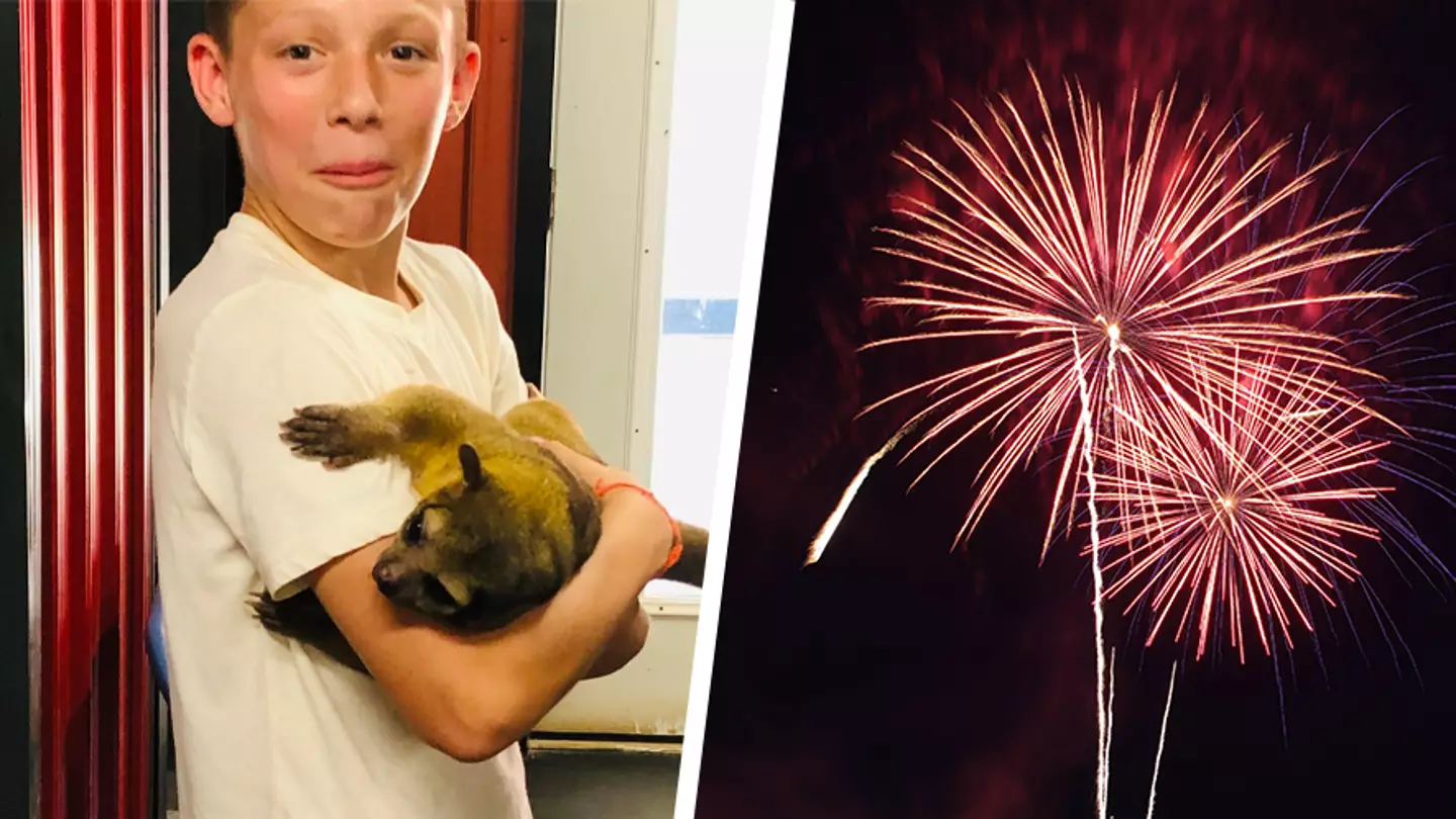 11-Year-Old Boy Dies In 'Freak Accident' While Playing With Fireworks During Independence Day