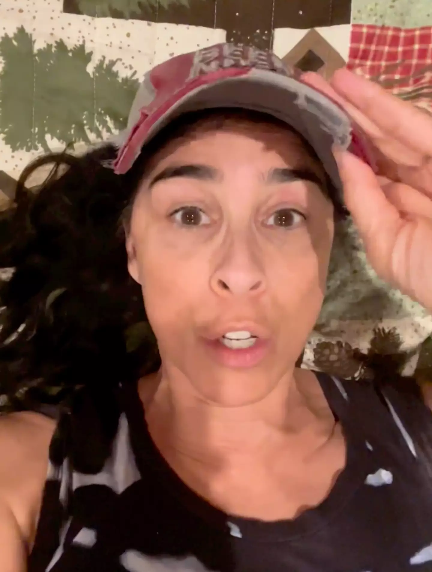 Silverman said the actors still working are 'scabbing'.