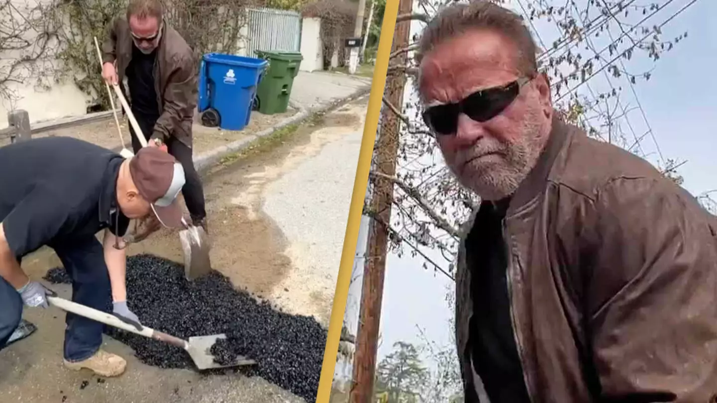 Arnold Schwarzenegger takes matters into own hands and fills in pothole only to find out it wasn't a pothole