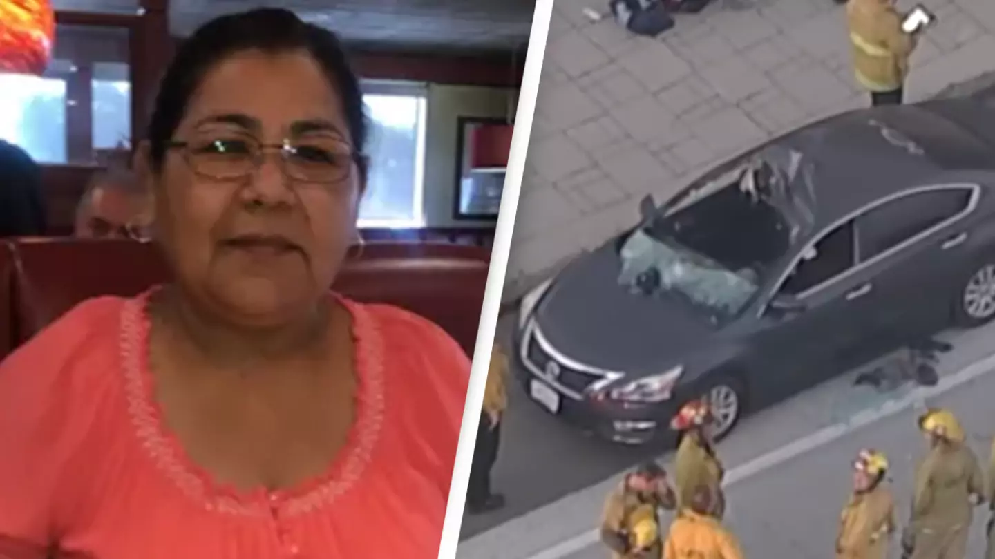 GoFundMe/ YouTube/ABC7