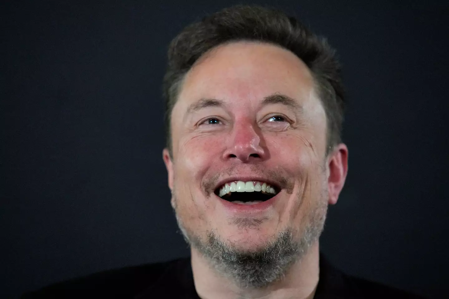 An Elon Musk biopic is on the way.