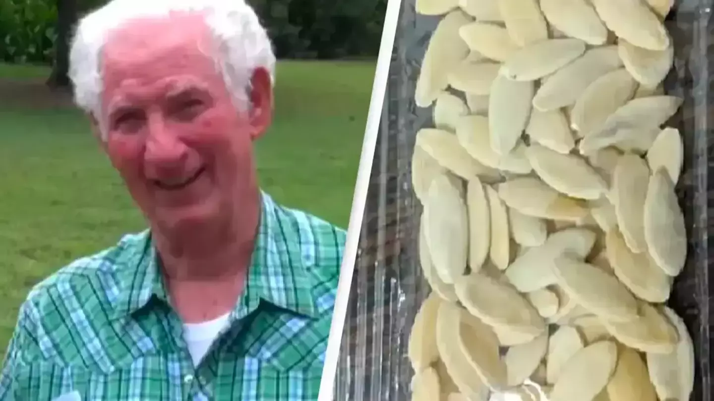 Arkansas man planted mystery seeds delivered from China to grow massive unstoppable fruit