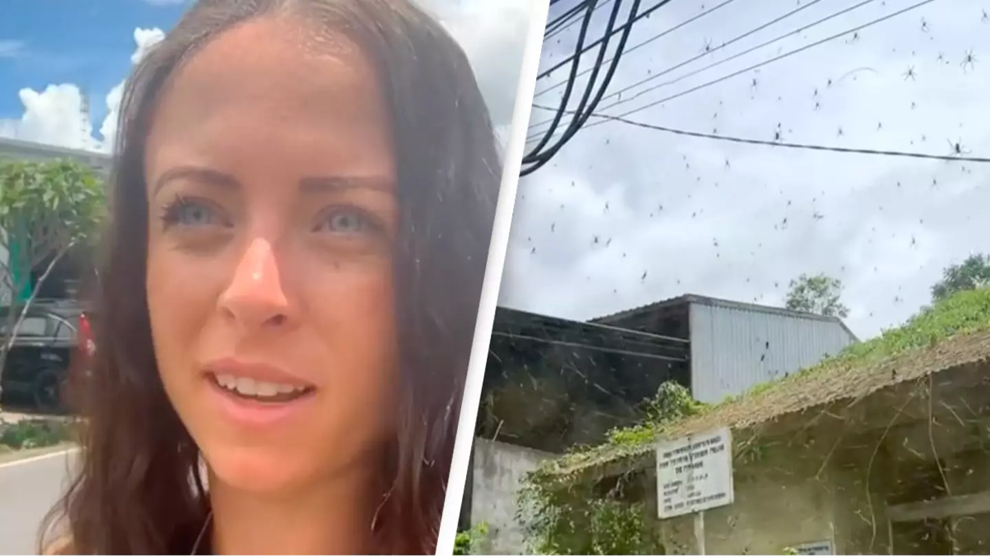 Tourist leaves people terrified after revealing spider house is the ‘worst thing she’s ever seen’ in Bali