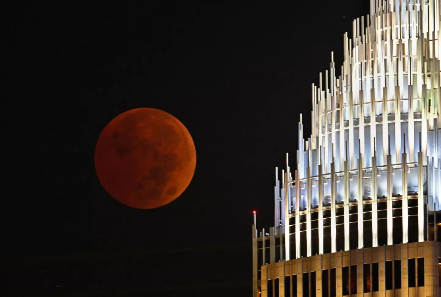 Total lunar eclipse, known as a blood moon, observed back in Charlotte, North Carolina, on November 8, 2022 (Peter Zay/Anadolu Agency via Getty Images)
