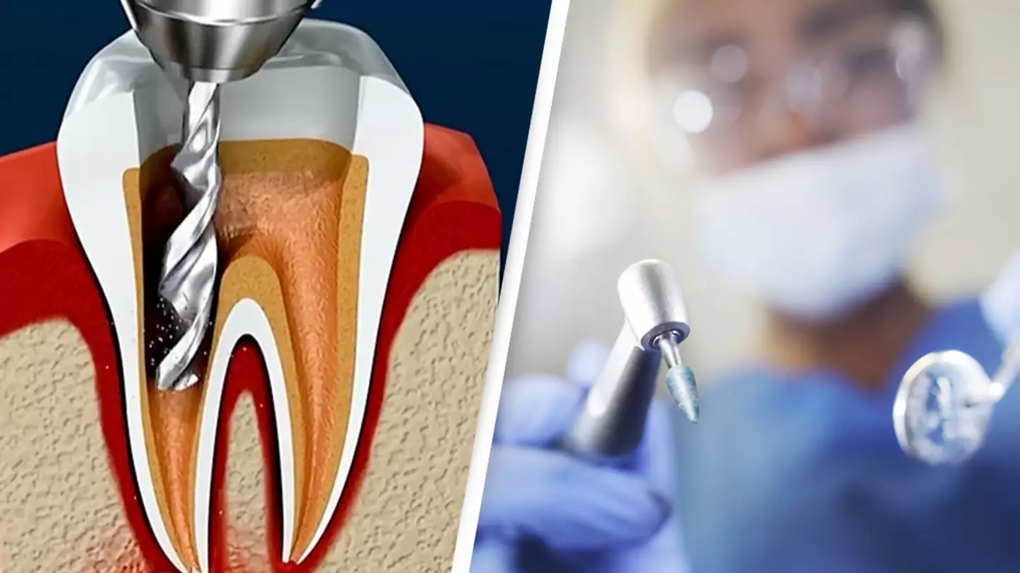 Detailed simulation of how a root canal works has people 'feeling the pain' just by watching