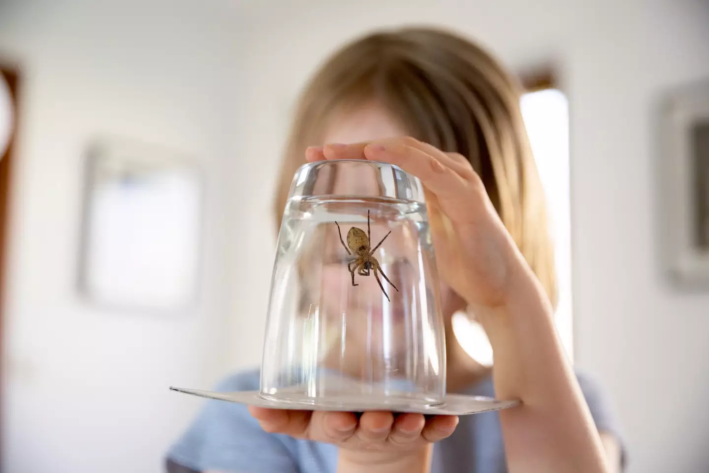 You really don't wanna be killing spiders. (Getty Stock Photo)
