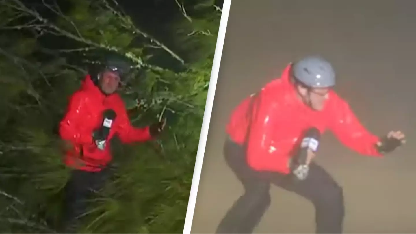 Shocking moment reporter almost gets crushed by falling tree while covering Hurricane Milton