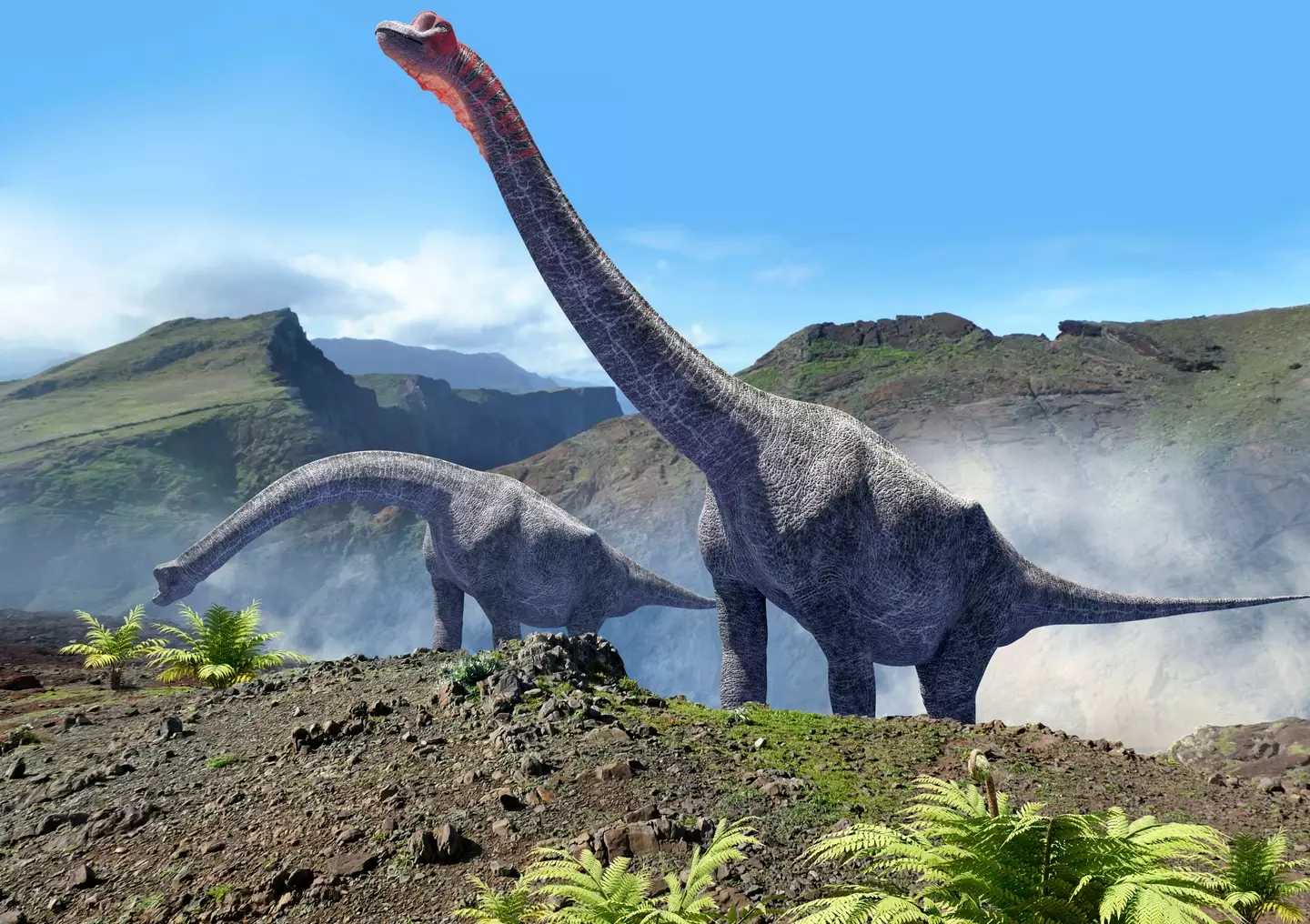 Sauropods roamed the earth millions of years ago (Getty Stock Image)
