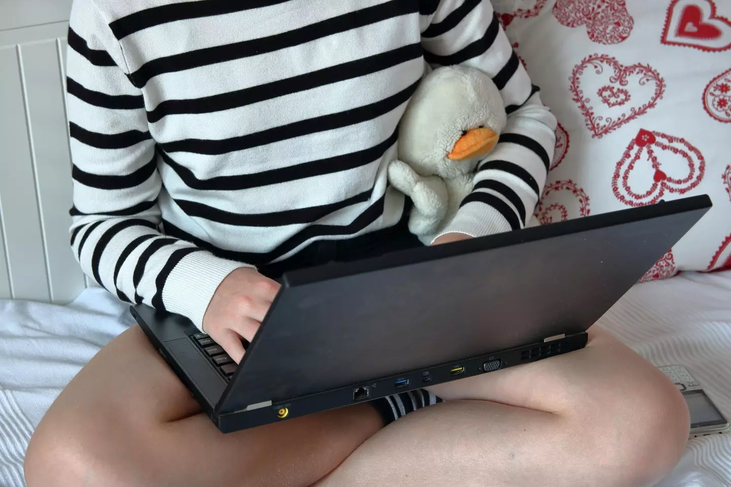 Person on laptop (Alamy)