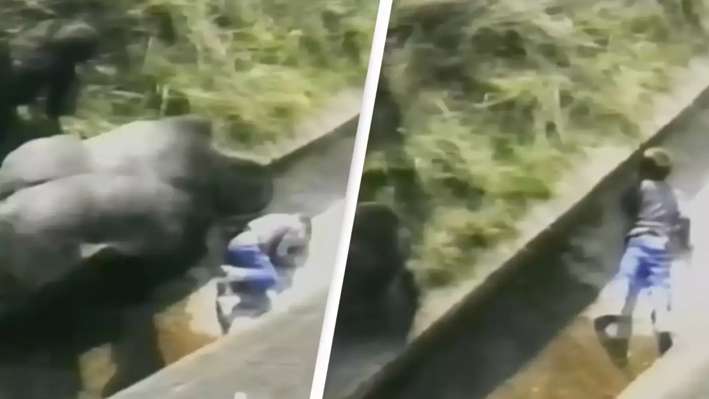 Man who was protected by gorilla when he was five years old reveals how incident has shaped his life