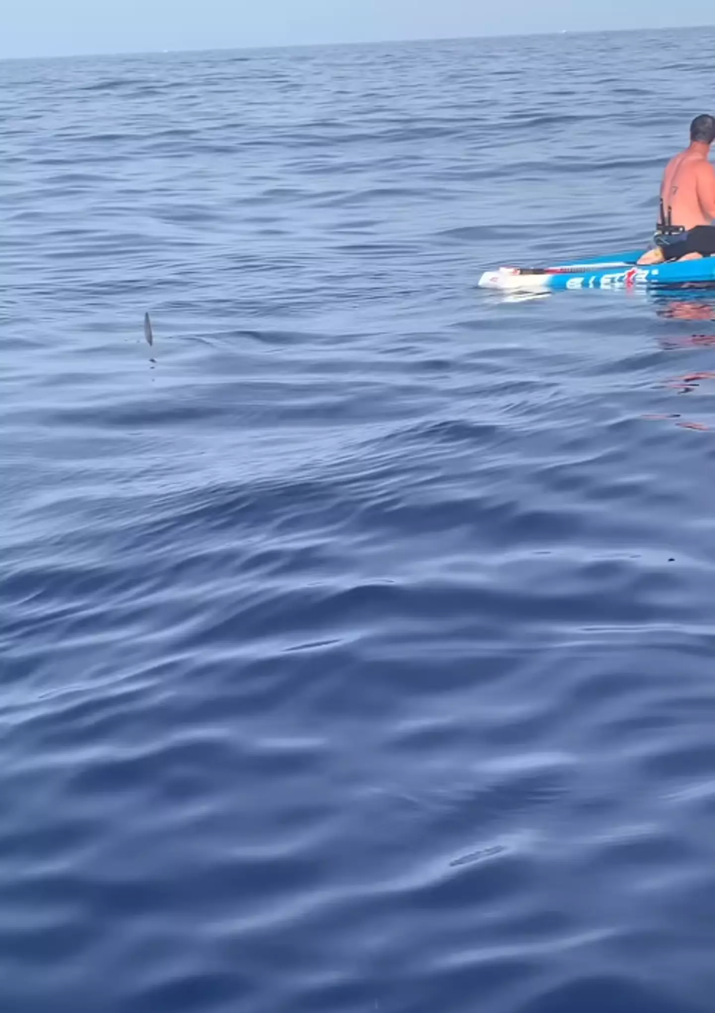 Gabe was fortunate to escape with his life. (Instagram/crossingforcf)