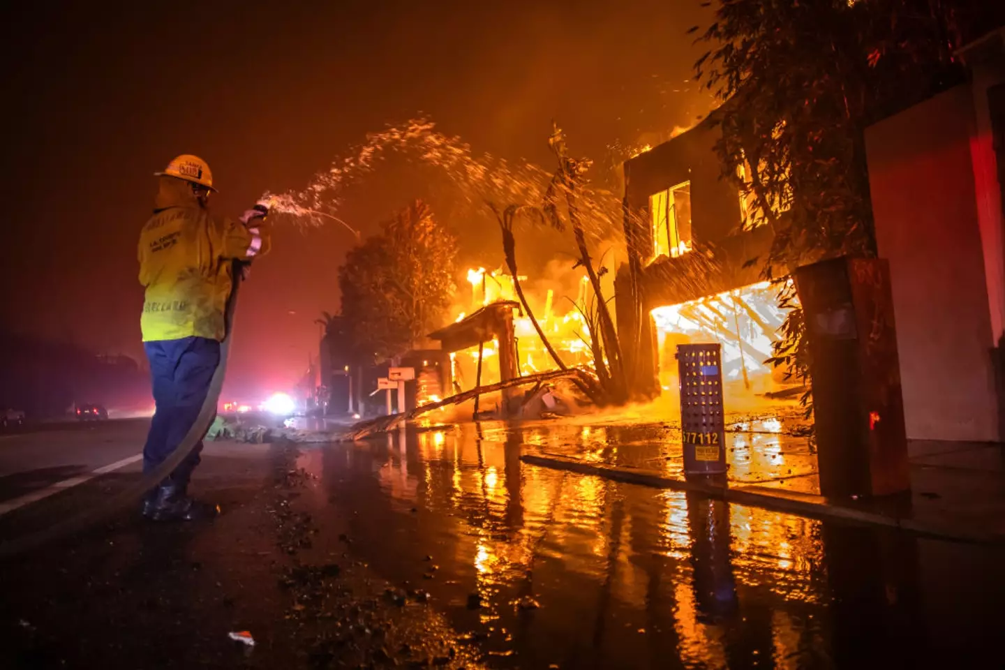 11 people have died as a result of the wildfires (Apu Gomes/Getty Images)