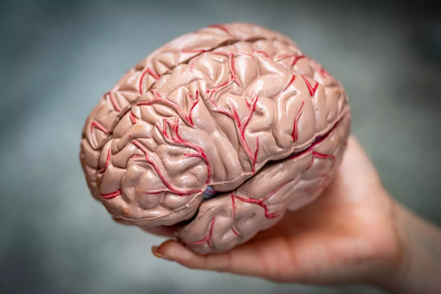 The tests can help with detecting signs of dementia (Getty Stock Photo)