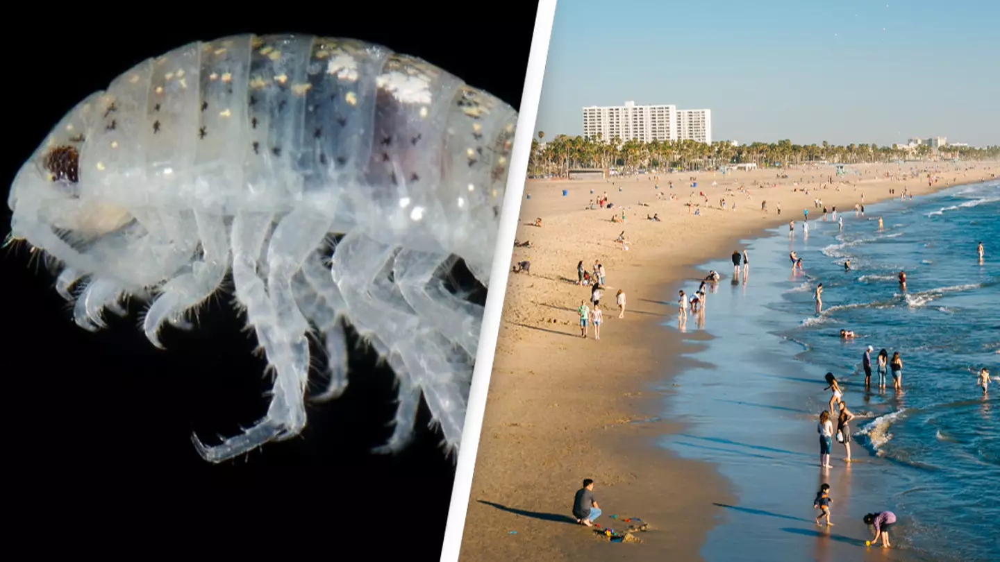 Credit: Hakai Institute / Jon Bilous / Alamy