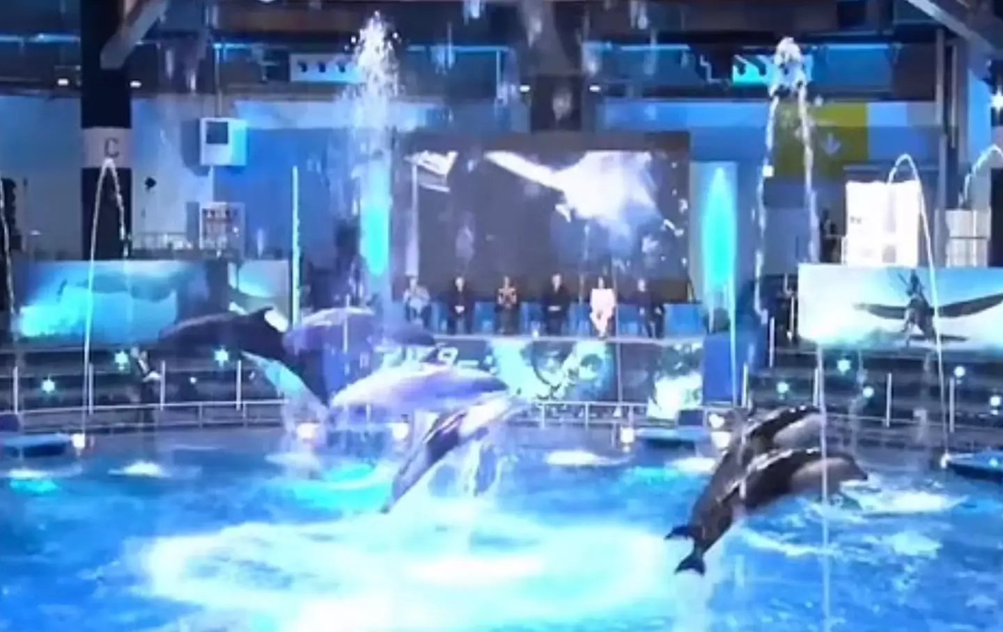 James Cameron took part in a press conference at a dolphin show.