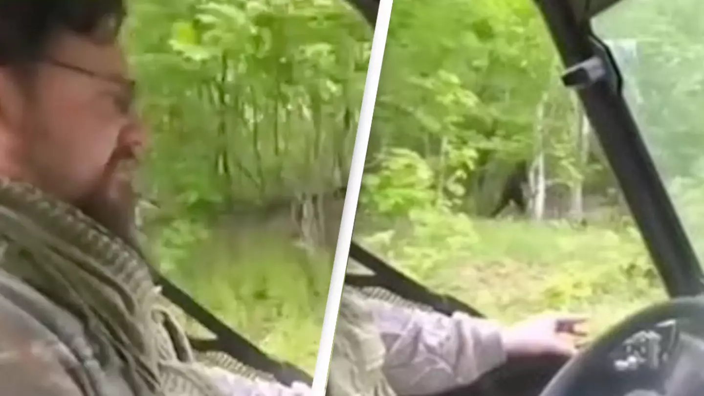 Men Convinced They've Captured Footage Of Bigfoot Running Through Trees