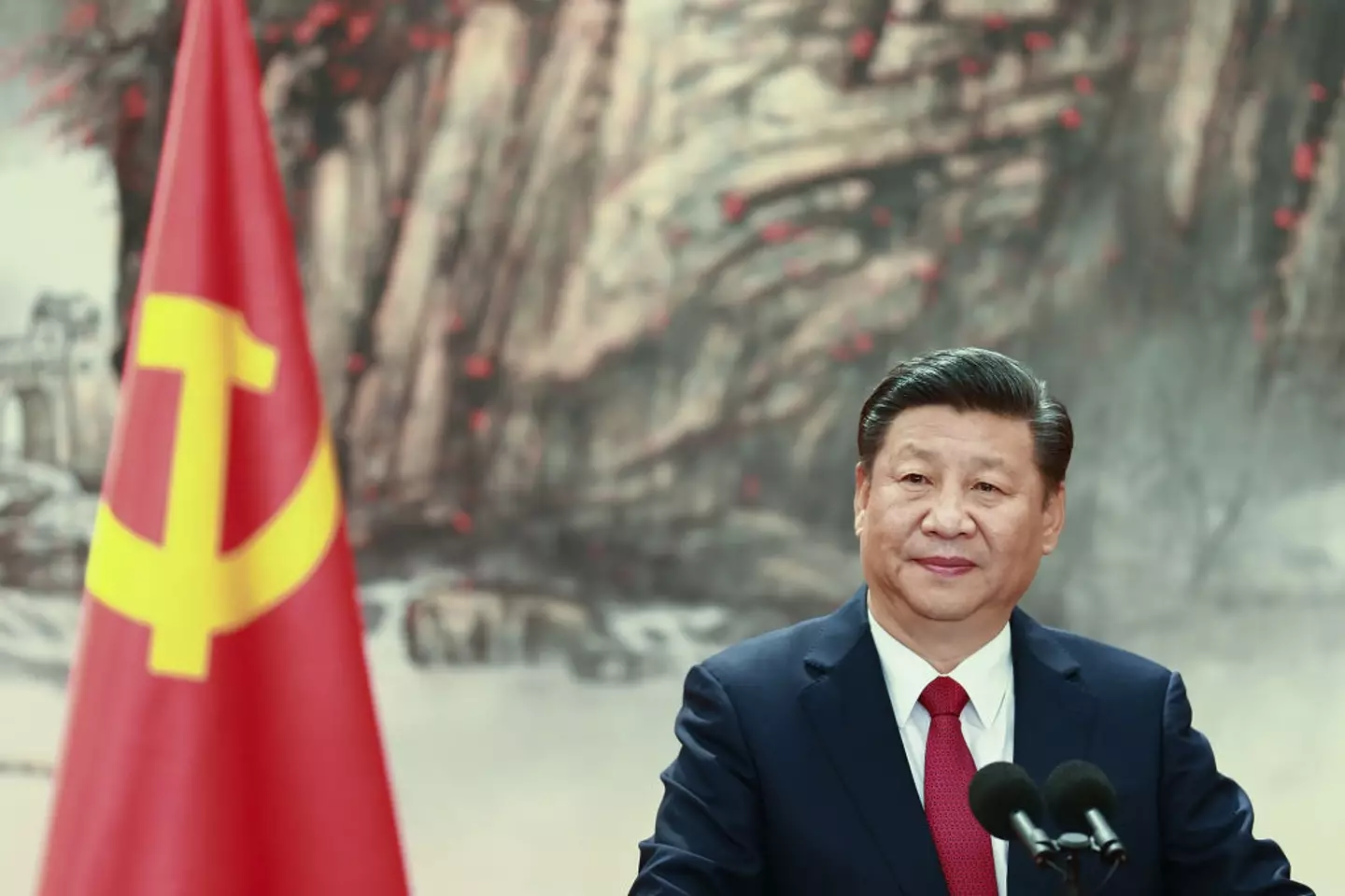 President of China Xi Jinping (Lintao Zhang/Getty Images)