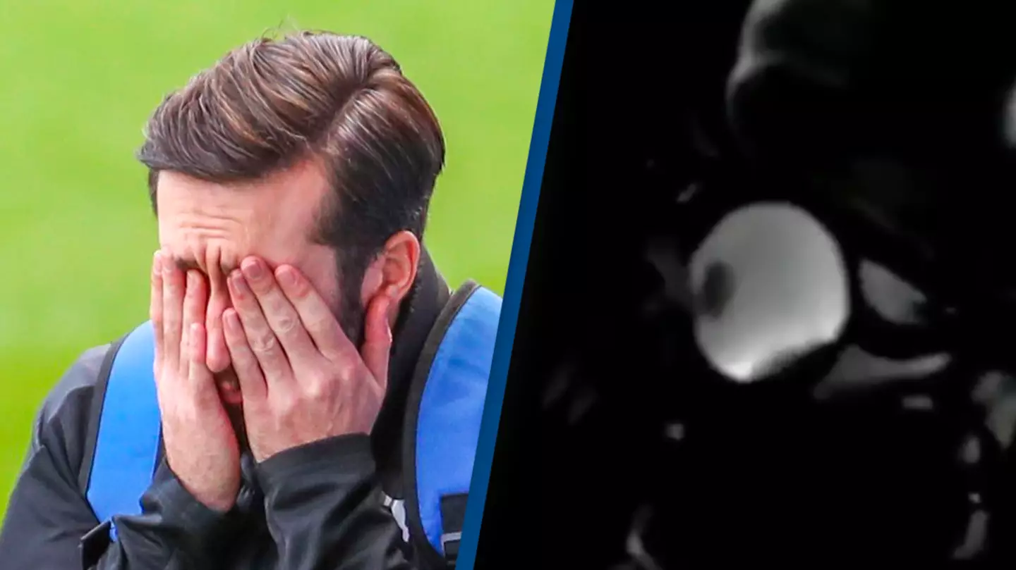 Shutterstock/Reddit/Damien Gatinel