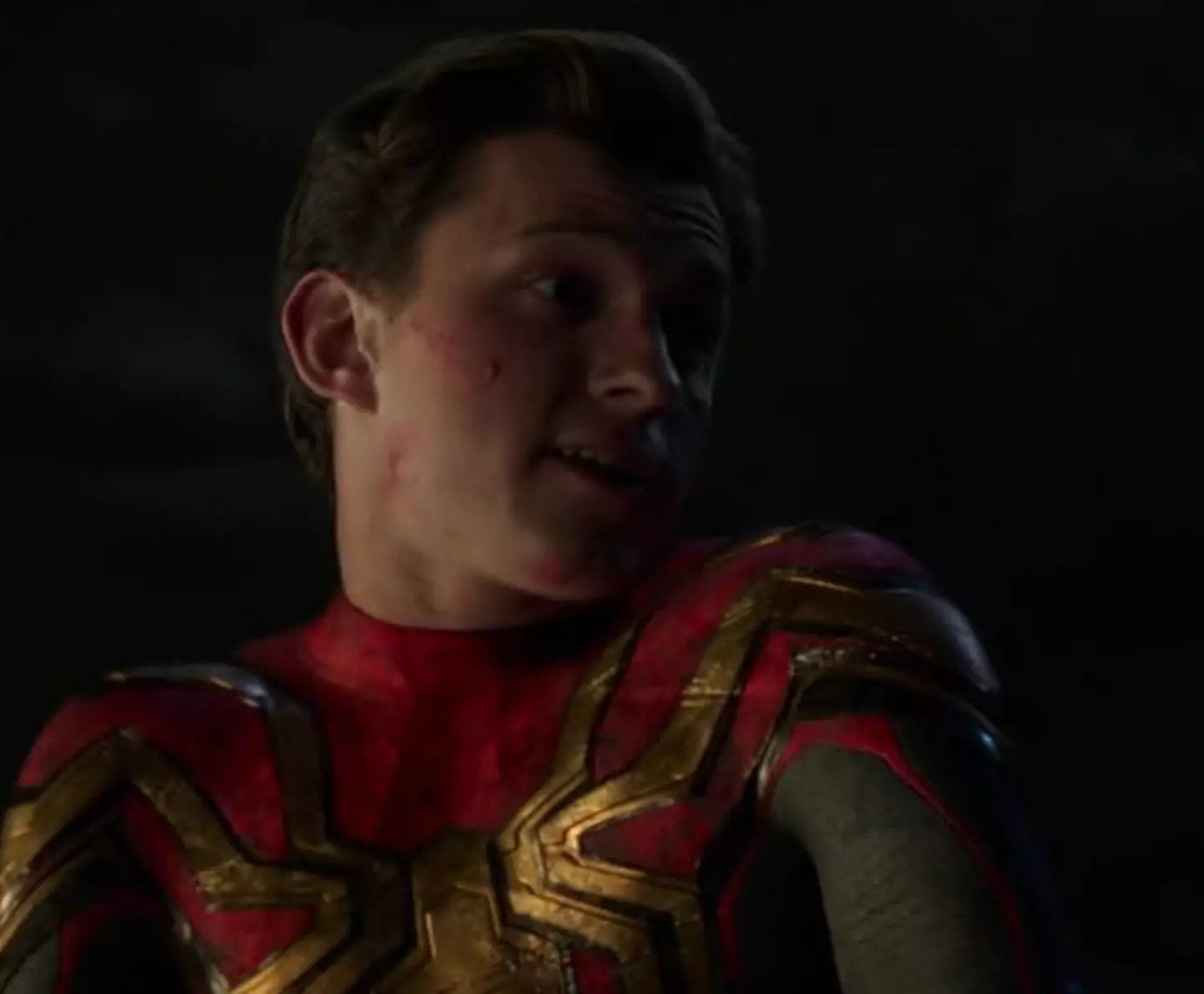 Tom Holland last played Spider-Man in No Way Home.