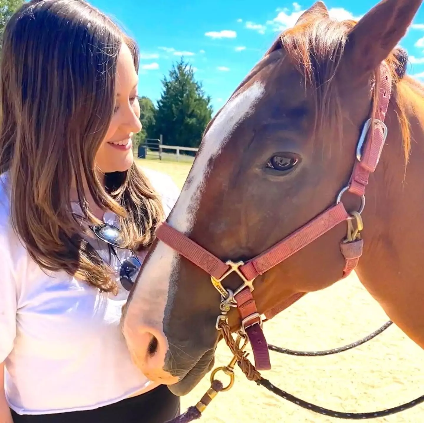The 27-year-old has been laid off three times in as many years, but at least she met this horse.