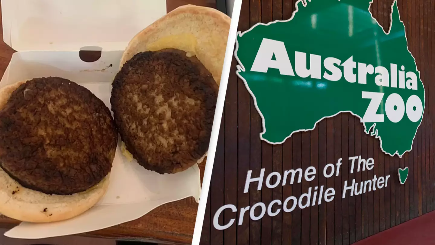 Diner furious over Steve Irwin’s zoo charging $17 for a 'miserable' cheeseburger