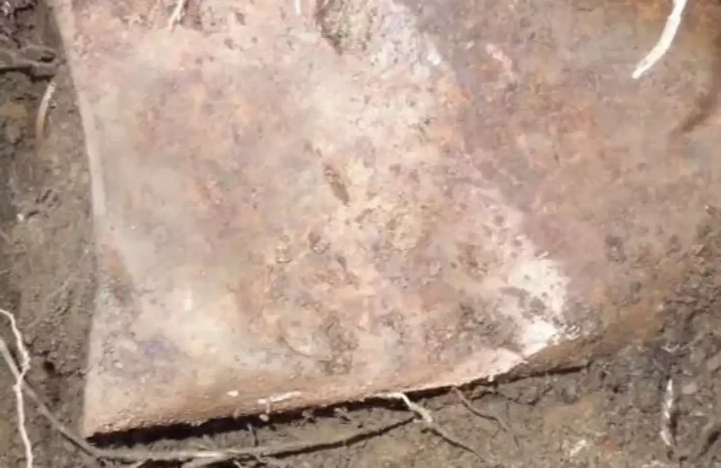 The couple could not believe their luck upon inspecting a decaying canister.