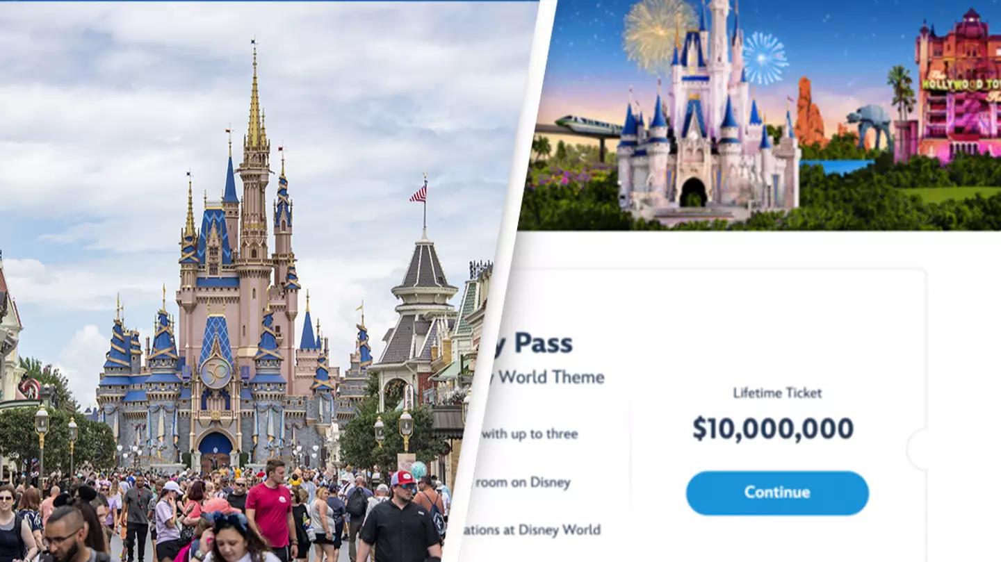 Truth behind Disney's new '$10,000,000 theme park ticket' after TikTok video goes viral