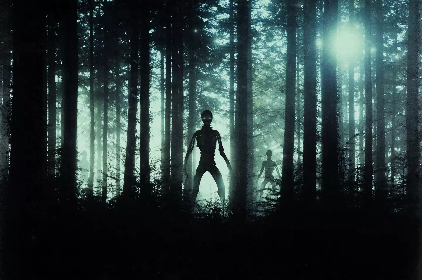 Many conspiracy theories have emerged - including that they were attempting to meet aliens (Getty Stock Image)