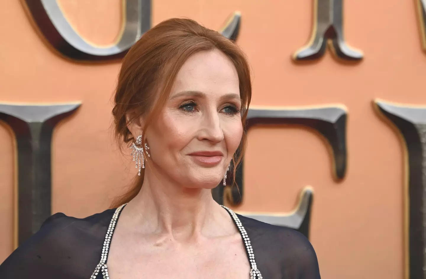 JK Rowling has been accused of transphobia (Stuart C. Wilson/Getty Images)