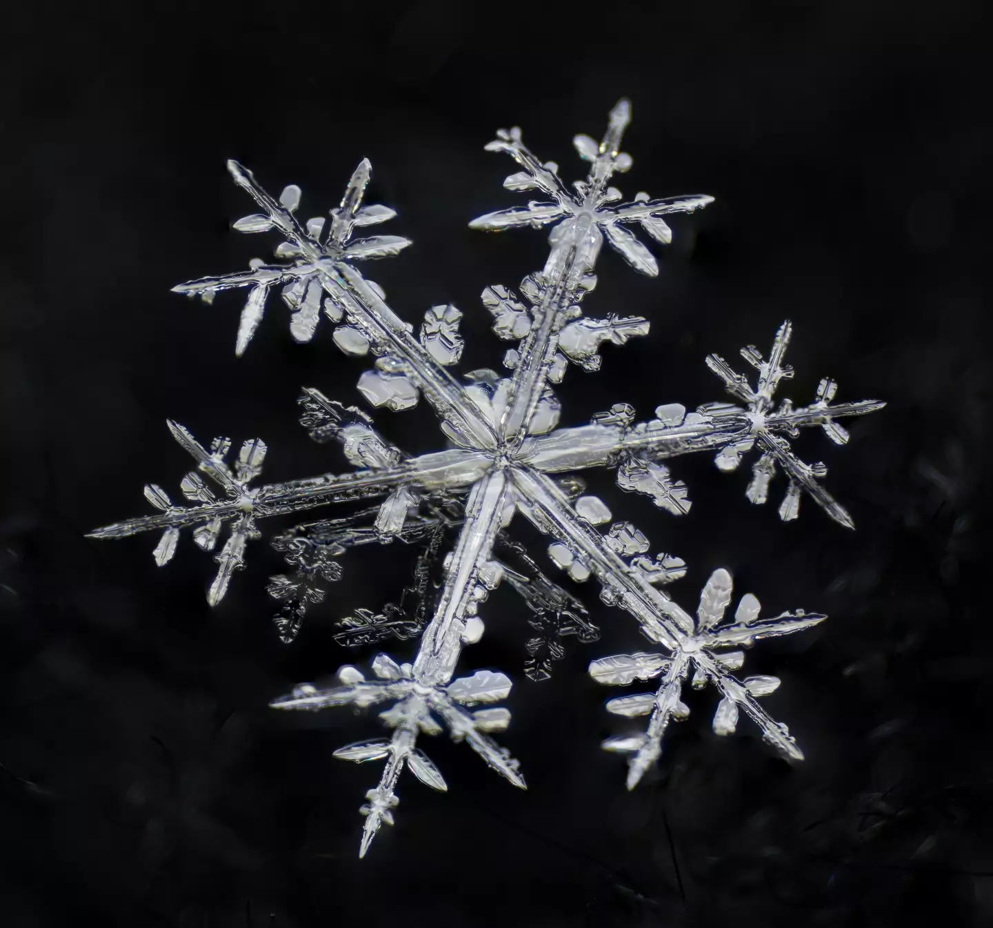 The actual proportions of the biggest snowflake are quite impressive.