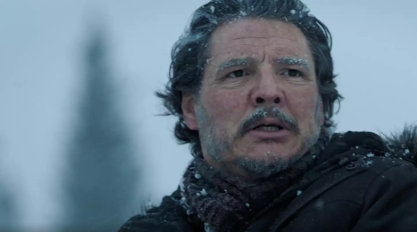 Joel is played by Pedro Pascal (HBO)