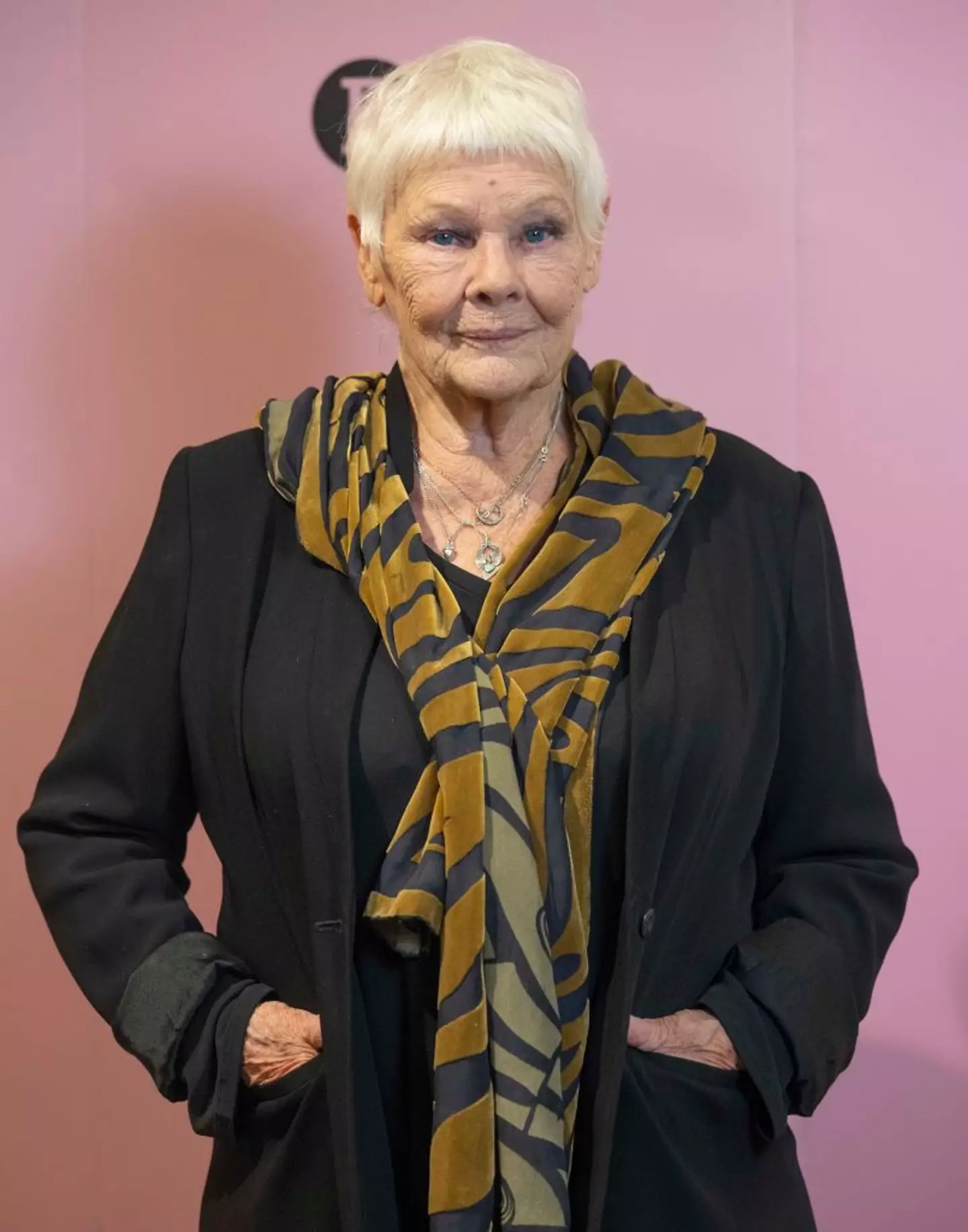 Dame Judi Dench has been battling the condition for more than a decade (Stuart C. Wilson/Getty Images for BFI)