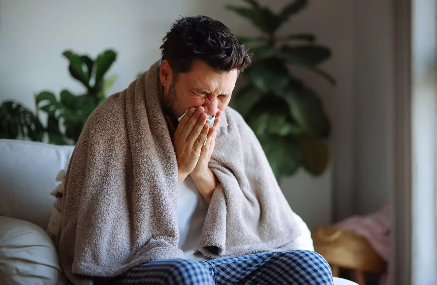 If contracted, a person may develop flu-like symptoms (Getty Stock Image)