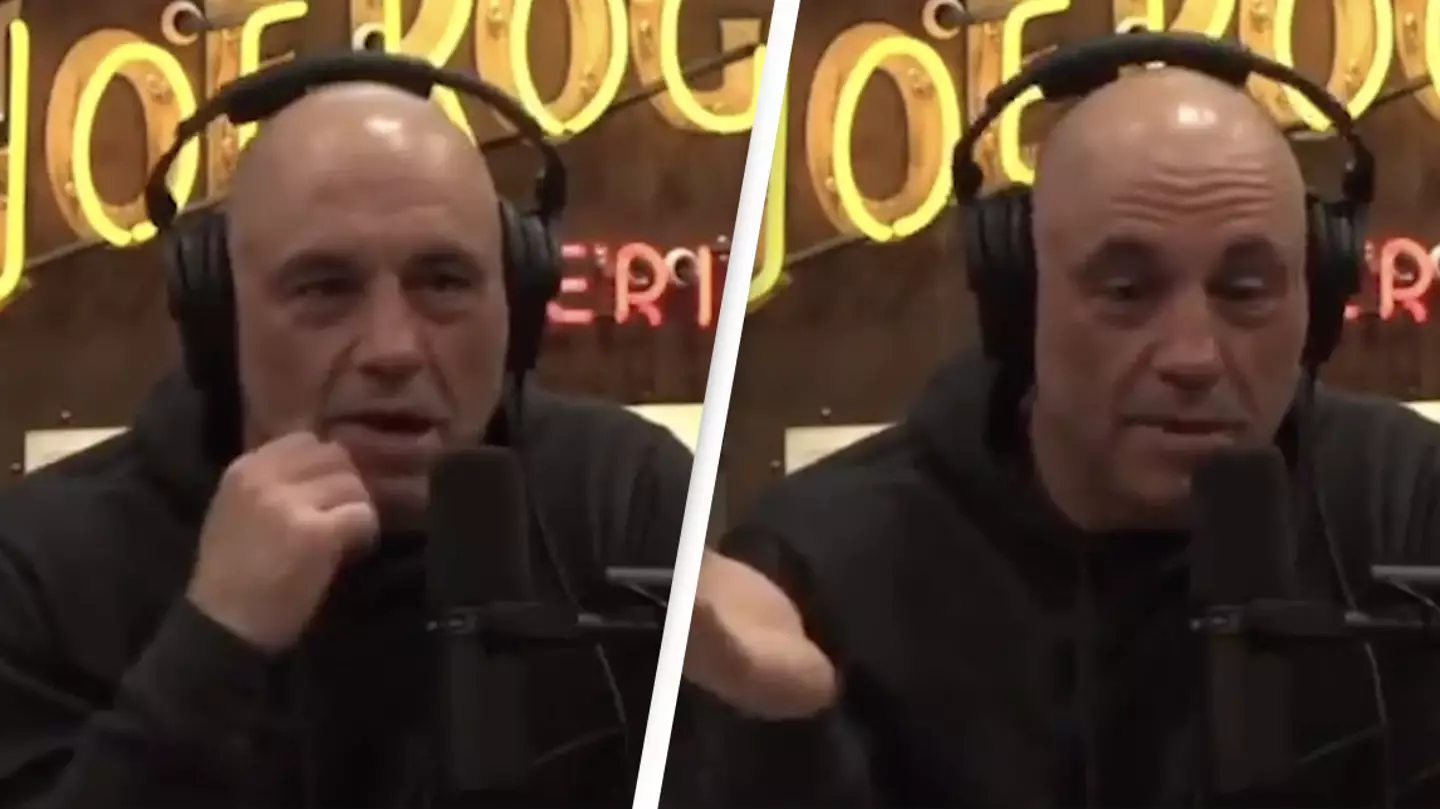 Joe Rogan Slams 'Anti-Racism' Lesson Teachers Pushed At Nine-Year-Old Daughter's School