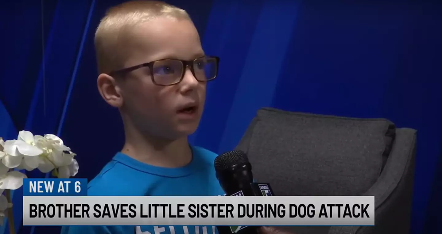 Eight-year-old Nicholas saved his little sister from the savage pit bull attack.(YouTube/WNEM TV5)