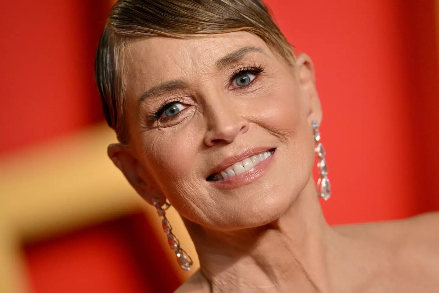 Sharon Stone spoke out in a new interview with Louis Theroux.