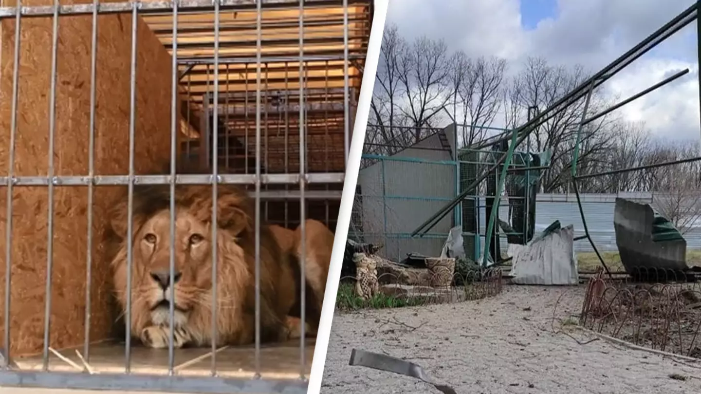 Ukrainian Zookeepers Shot Dead While Feeding Animals