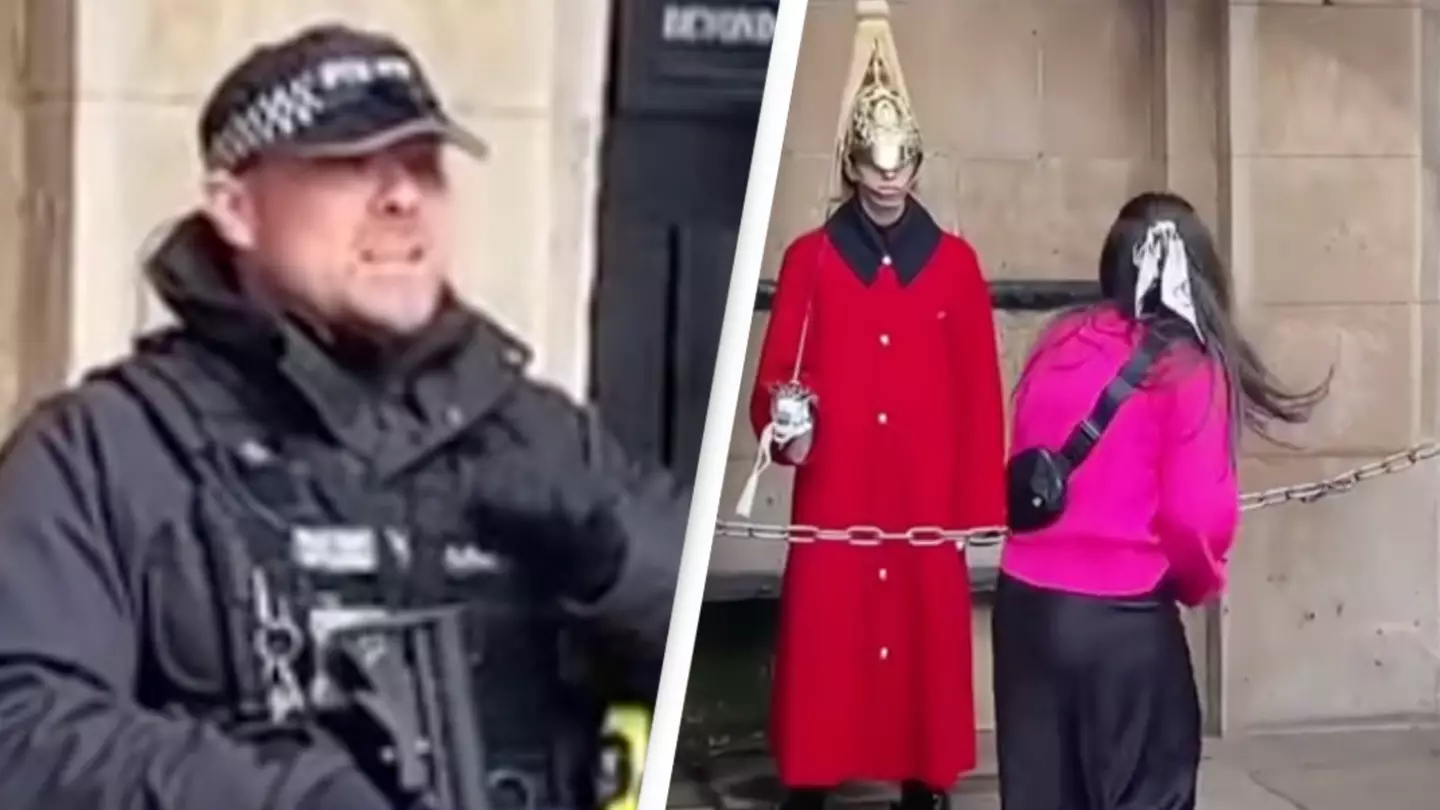 UK armed police officer confronts American tourists for ridiculing member of royal King's Guard