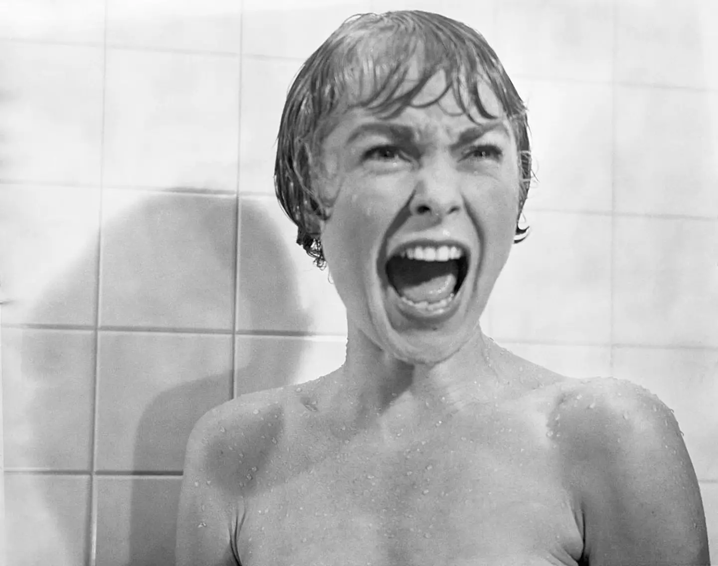 Janet Leigh starred as Marion Crane in Pyscho (Bettmann via Getty Images)
